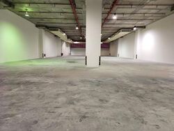 Jurong Port Road (D22), Warehouse #484124361
